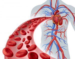 Heart and Blood Vessel Disease