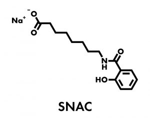 Rybelsus Mechanism of Action Rybelsus Mechanism of Action