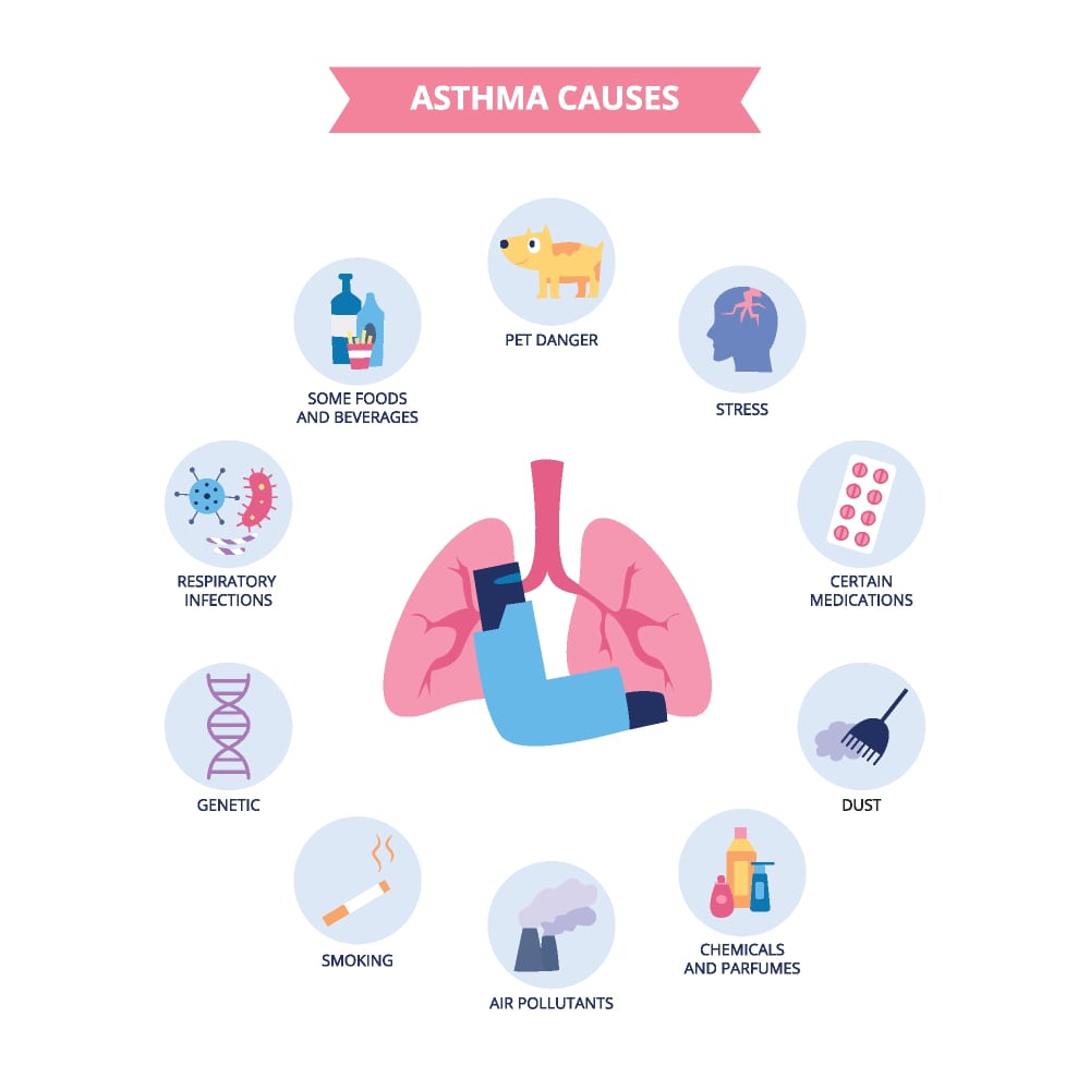 Asthma Causes Asthma Causes
