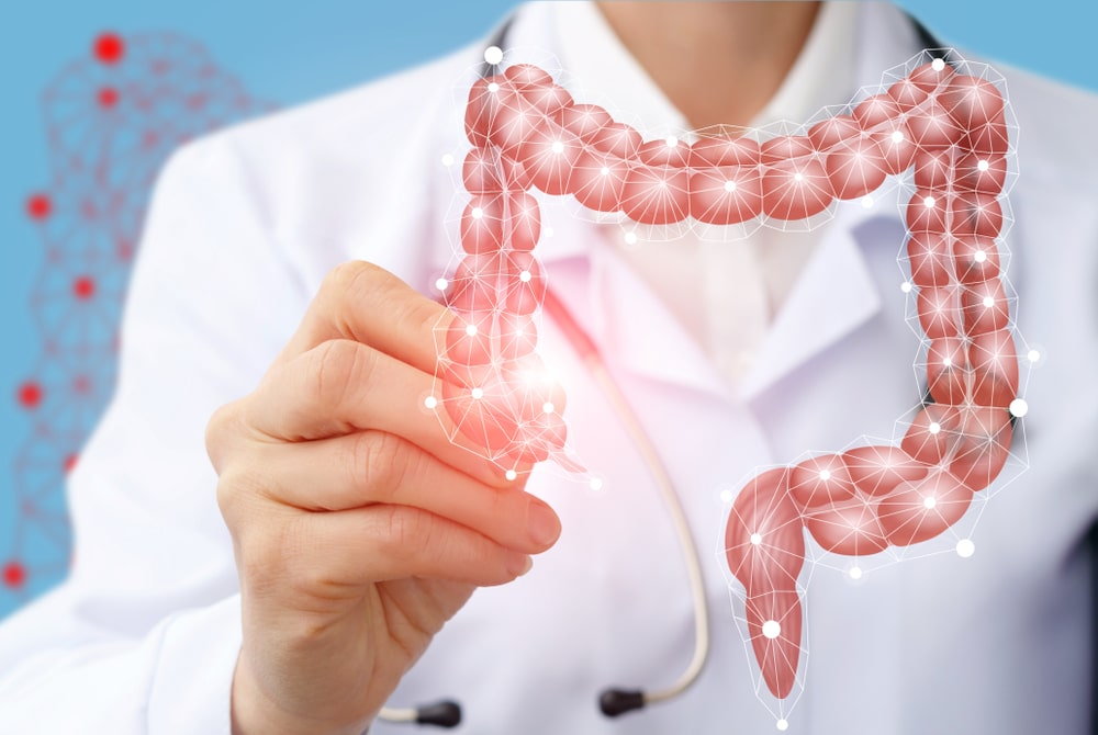 How to test Gut health How to test Gut health