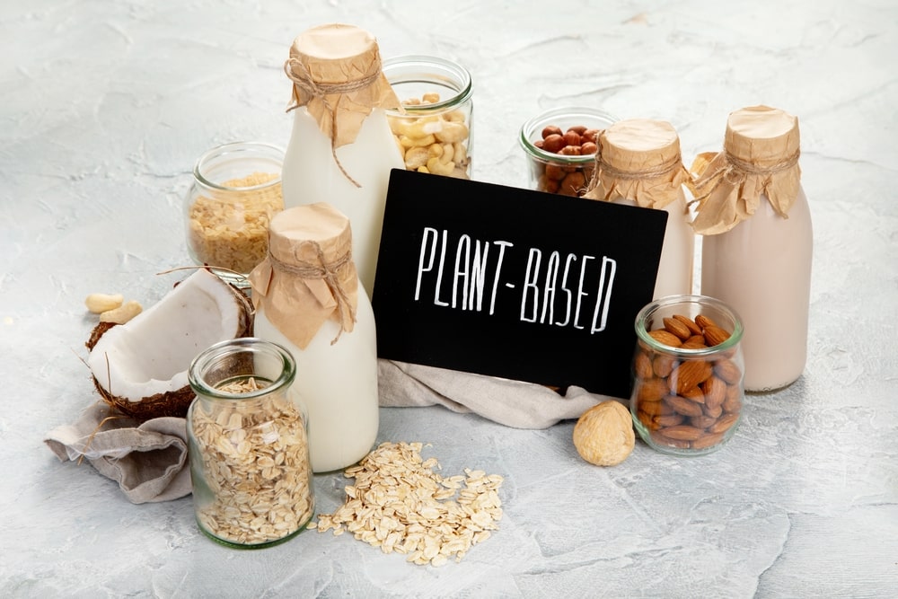 What is a plant-based diet?