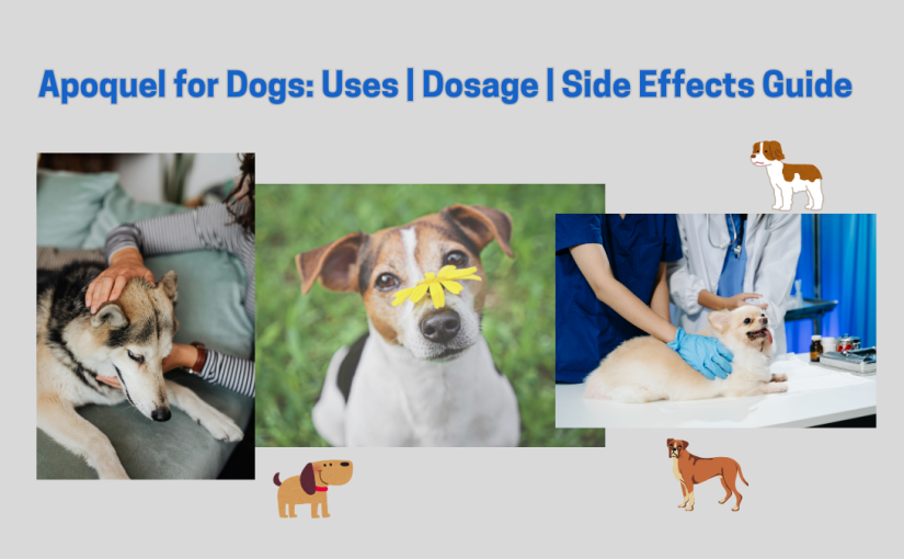 Apoquel for Dogs: Uses, Dosage, Side Effects Guide